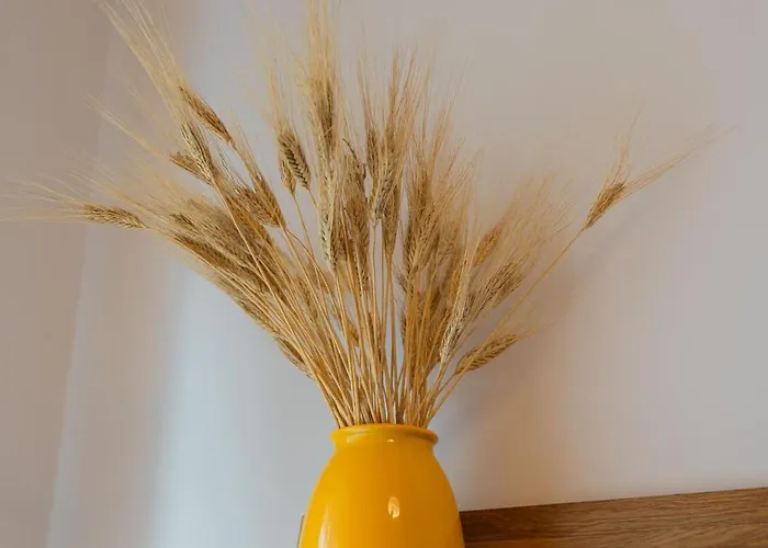 Noi 2 Nel Cilento בית הארחה 4*