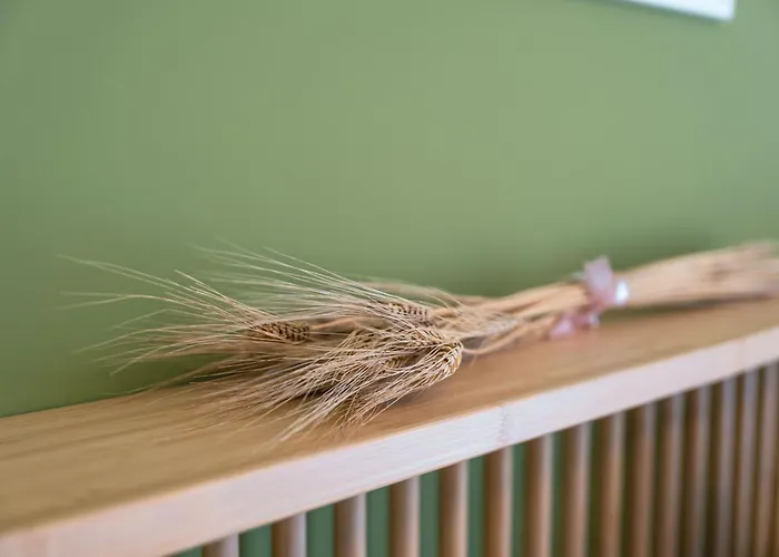 Noi 2 Nel Cilento בית הארחה אגרופולי