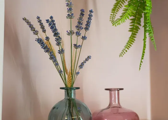 Noi 2 Nel Cilento בית הארחה 4*