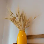 Noi 2 Nel Cilento Gasthuis 4*