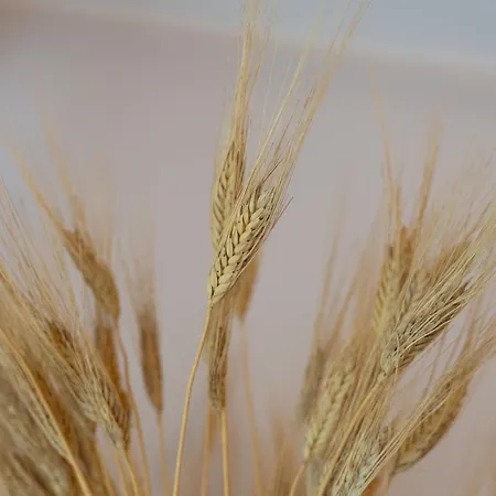 Noi 2 Nel Cilento بيت ضيافة