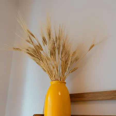 Noi 2 Nel Cilento Maison d'hôtes *