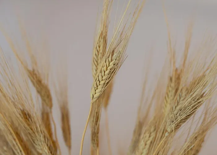 Noi 2 Nel Cilento Gasthof